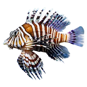 Lionfish Marine Life PNG Dpr15 PNG