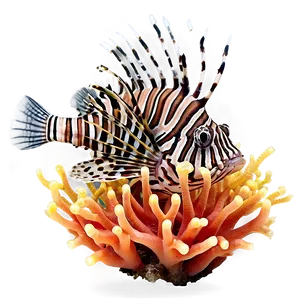Lionfish On Coral PNG Wuc