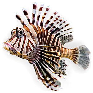 Lionfish On Coral PNG Xnk48 PNG