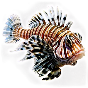 Lionfish Profile PNG Acu80 PNG