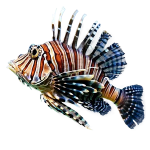 Lionfish Profile PNG Dol65 PNG