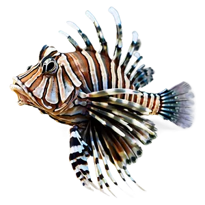 Lionfish Side View Png Qkd50 PNG image