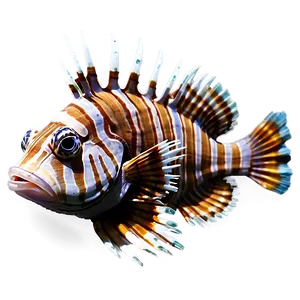 Lionfish Sketch PNG 06292024