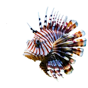 Lionfish Spines PNG Ohk73