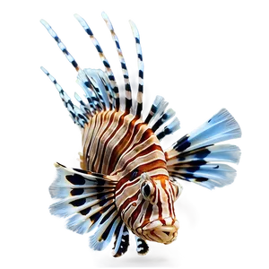 Lionfish Swimming Png 06292024 PNG image