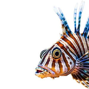 Lionfish Threat PNG 85