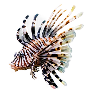 Lionfish Threat PNG 9 PNG