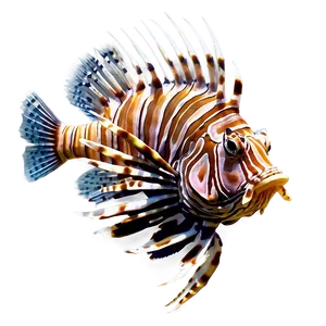 Lionfish Vector Art PNG Map