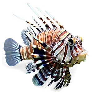 Lionfish With Open Fins Png Mix PNG image