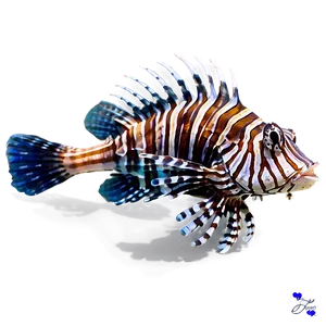 Lionfish With Vibrant Colors PNG Ngo38 PNG