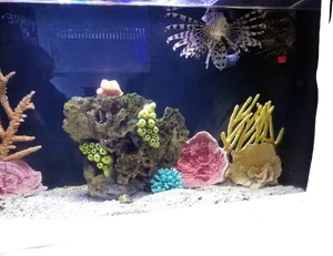 Lionfishin Aquarium Habitat PNG