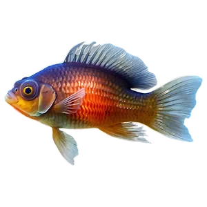 Lionhead Goldfish PNG Bqy60 PNG