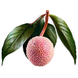 Litchi Nut PNG 26 PNG