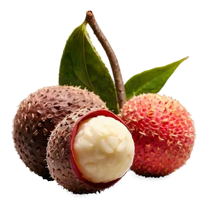 Litchi Nut PNG 73 PNG