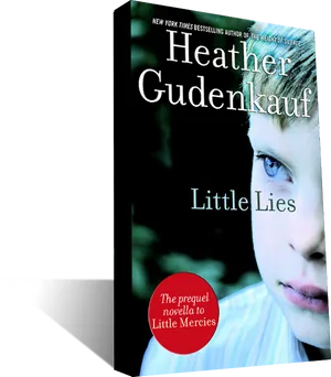 Little Lies Book Cover PNG
