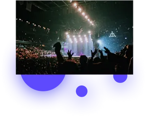 Live Concert Crowd Celebration.jpg PNG image