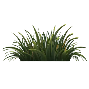 Lively Cartoon Grass PNG 06122024