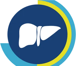 Liver Icon Graphic PNG image