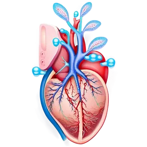 Liver Transplant Surgery PNG Nyl92 PNG