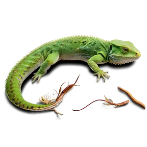 Lizard Tail PNG Wql34 PNG