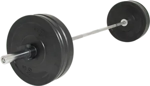 Loaded Olympic Barbell Isolated