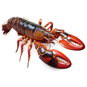 Lobster Boat Png Qrs PNG image