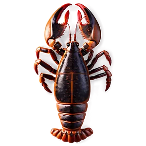 Lobster Drawing Png 05212024 PNG image