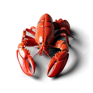 Lobster Illustration Png 05212024 PNG image