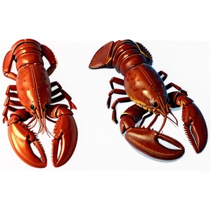 Lobster Illustration Png Eog PNG image