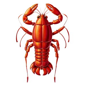 Lobster Pattern Png 05212024 PNG image