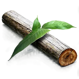 Log With Leaves Png Hap21 PNG image