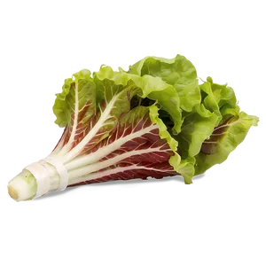 Lollo Rosso Lettuce PNG Upd PNG