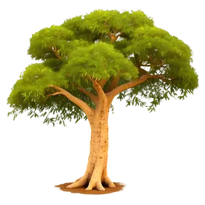 Lone Acacia Tree Savanna Png 06132024 PNG image