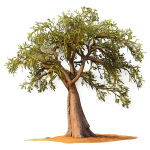 Lone Acacia Tree Savanna Png Ldr82 PNG image