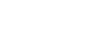 Lone Armadillo Marketing Logo PNG