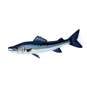 Lone Barracuda Png 06252024 PNG image