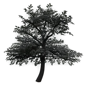 Lonely Black Tree PNG 14 PNG
