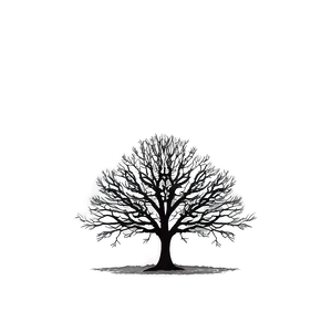 Lonely Black Tree PNG Pen PNG