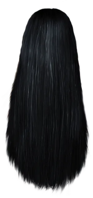 Long Black Hair Back View PNG