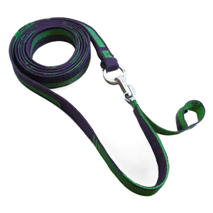 Long Dog Leash PNG 06132024