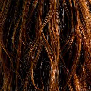 Long Hair Texture PNG 06202024