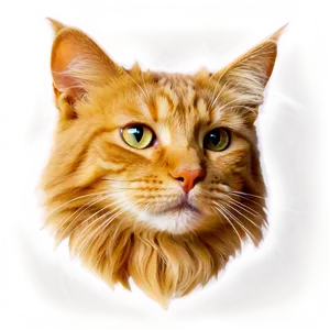 Long Haired Cat Png 65 PNG image