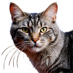 Long-haired Grey Cat Png Esk PNG image