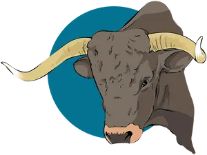 Long Horned Bull Illustration.png