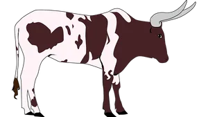 Longhorn Cattle Illustration
