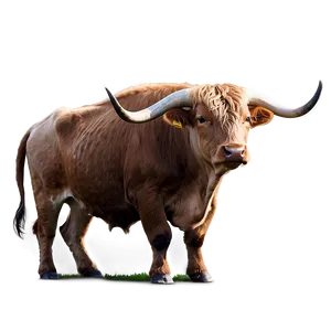 Longhorn Cattle Png 06132024 PNG image