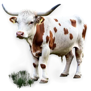 Longhorn Cattle Png 06132024 PNG image