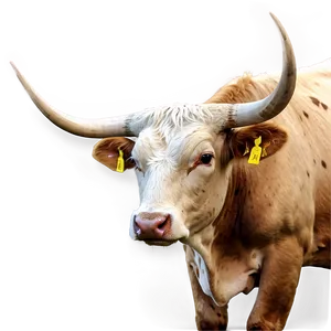 Longhorn Cattle Png 45 PNG image