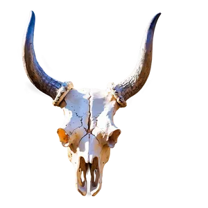 Longhorn Cow Skull Design PNG Itt