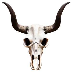 Longhorn Skull And Mountains PNG 06292024
